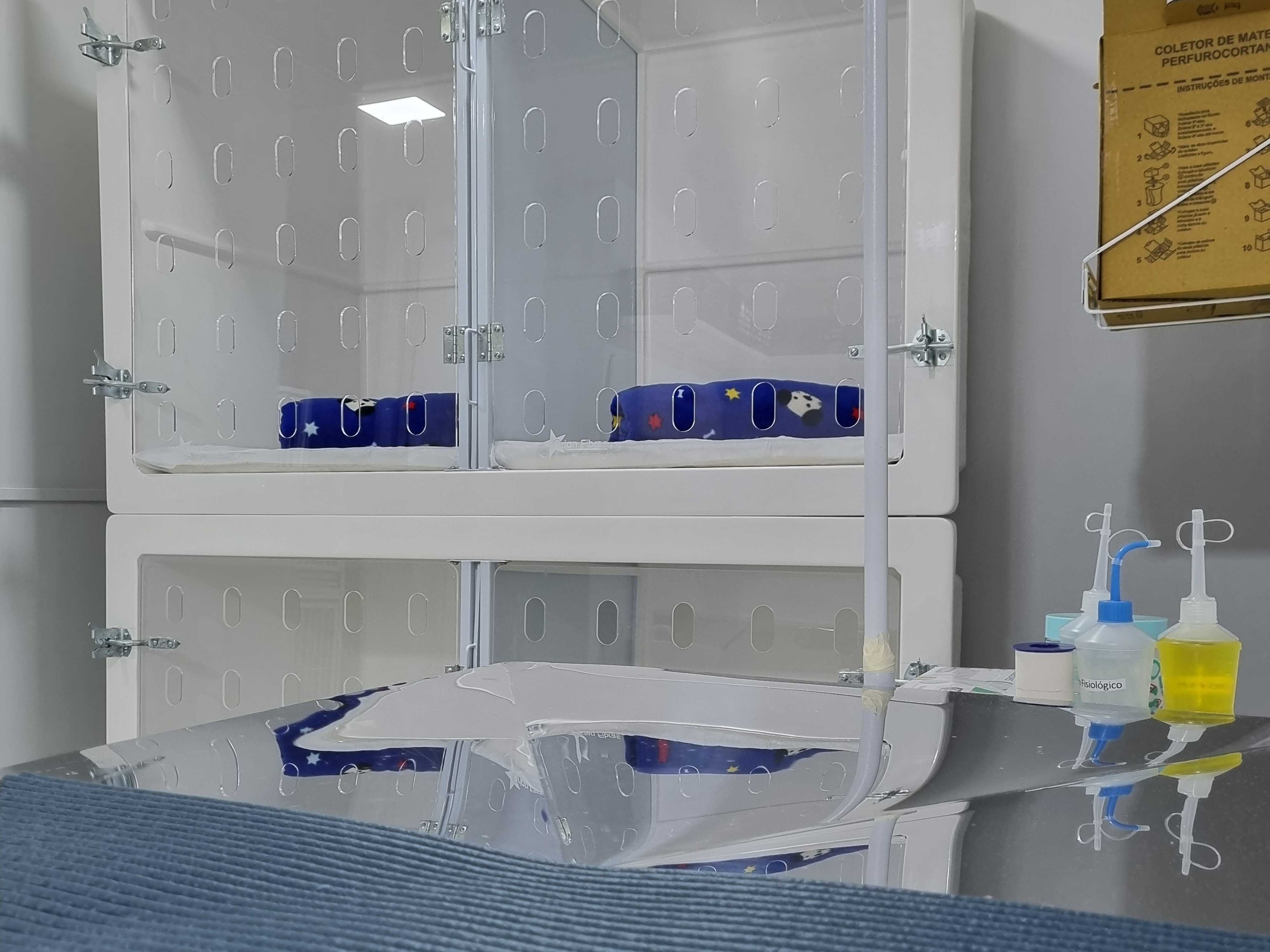 Foto da Galeria