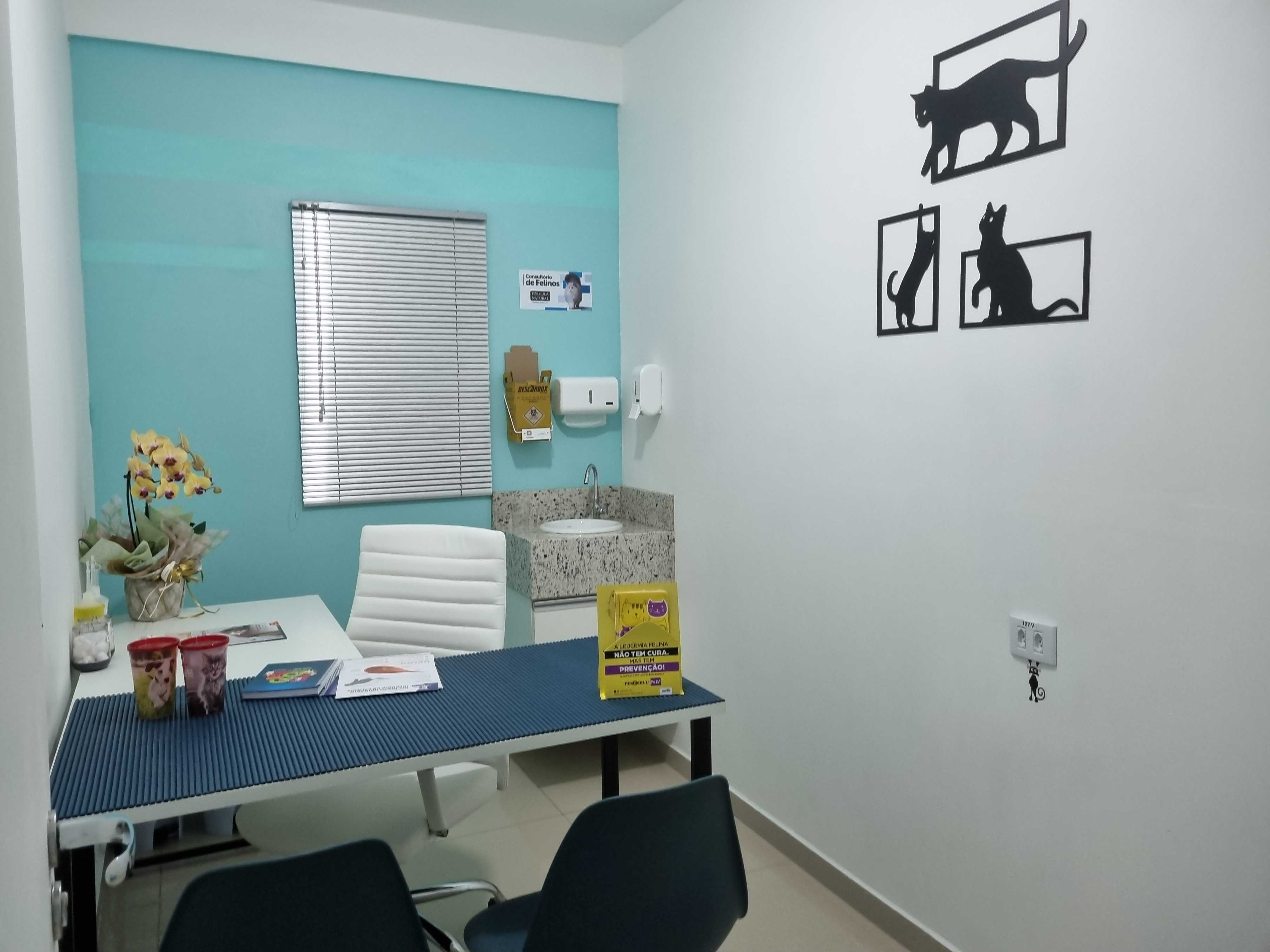 Foto da Galeria