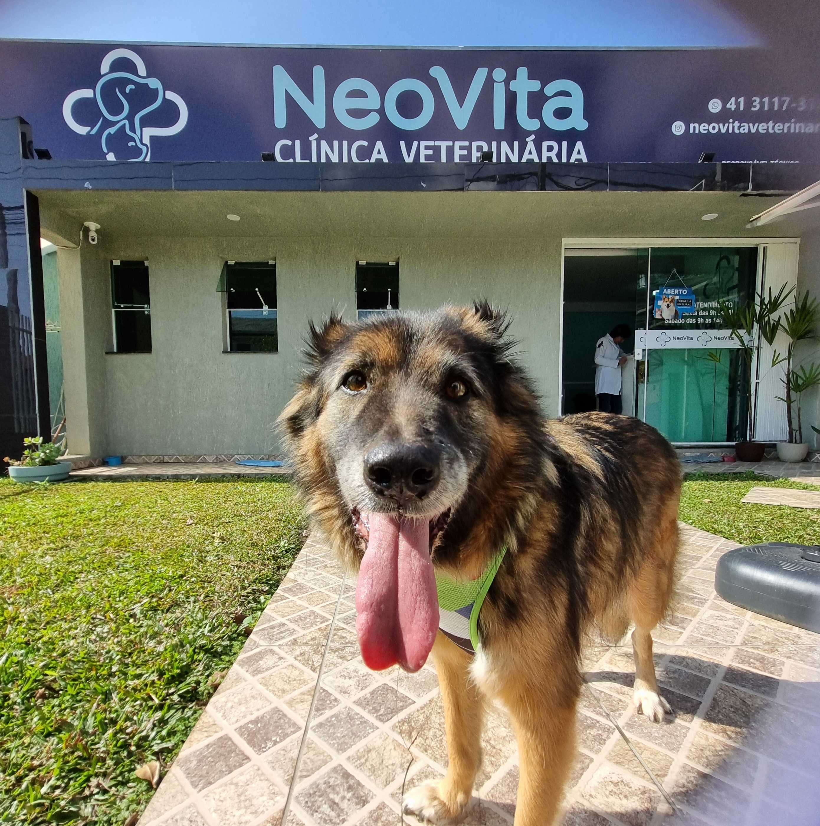 Foto da Galeria